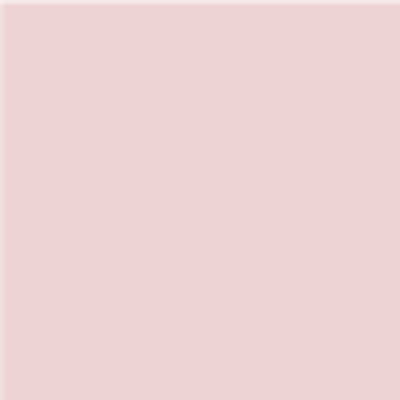 BALLET PINK