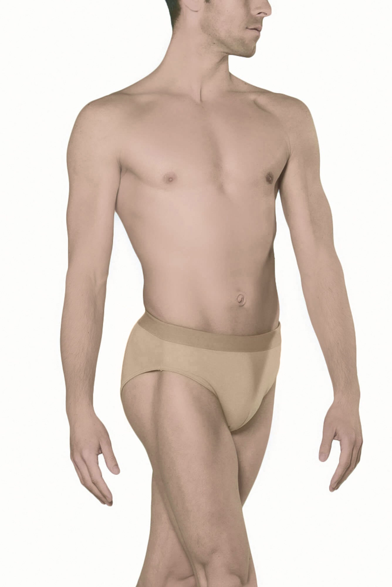 #couleur_dark beige